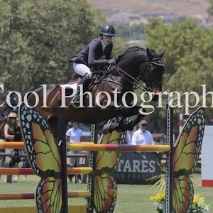 Meet your Posher, Paige